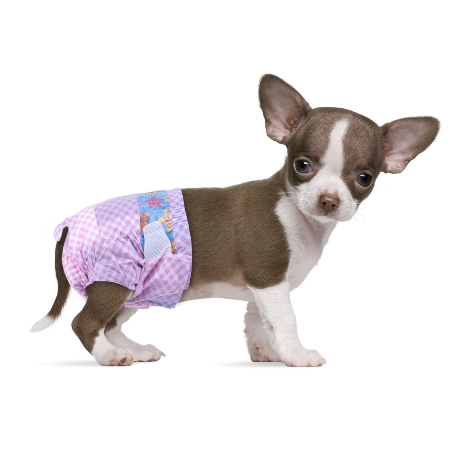 Flying Paws Disposable Female Dog Diapers, Puppy Diapers with Adjustable Elastic Waistline for Female Dog or Cat in Heat,Inconti