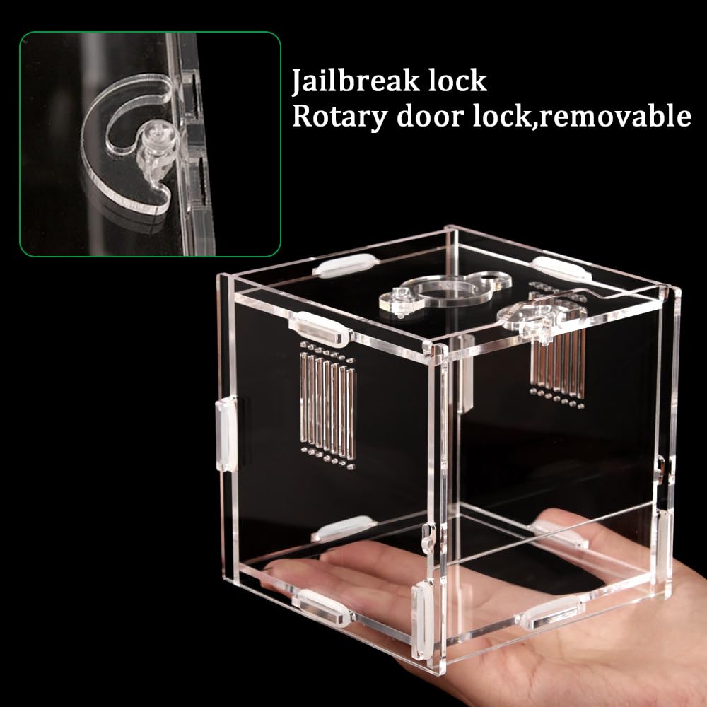 Jhcyuluo Acrylic Jumping Spider Enclosure, Small Reptile Terrarium Habitat For Tarantula Snail Insect Small Reptile (4.5X4.3X4.1