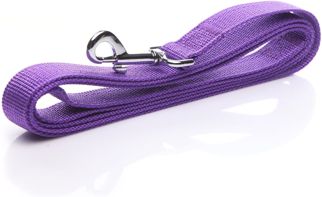 Nylon Dog Leash 4 Ft 5 Feet 6 Foot Long, Walking Training Dog Leashes For Medium Large Dogs, 1 Inch Wide (3/4'' X 6 Ft, Purple)