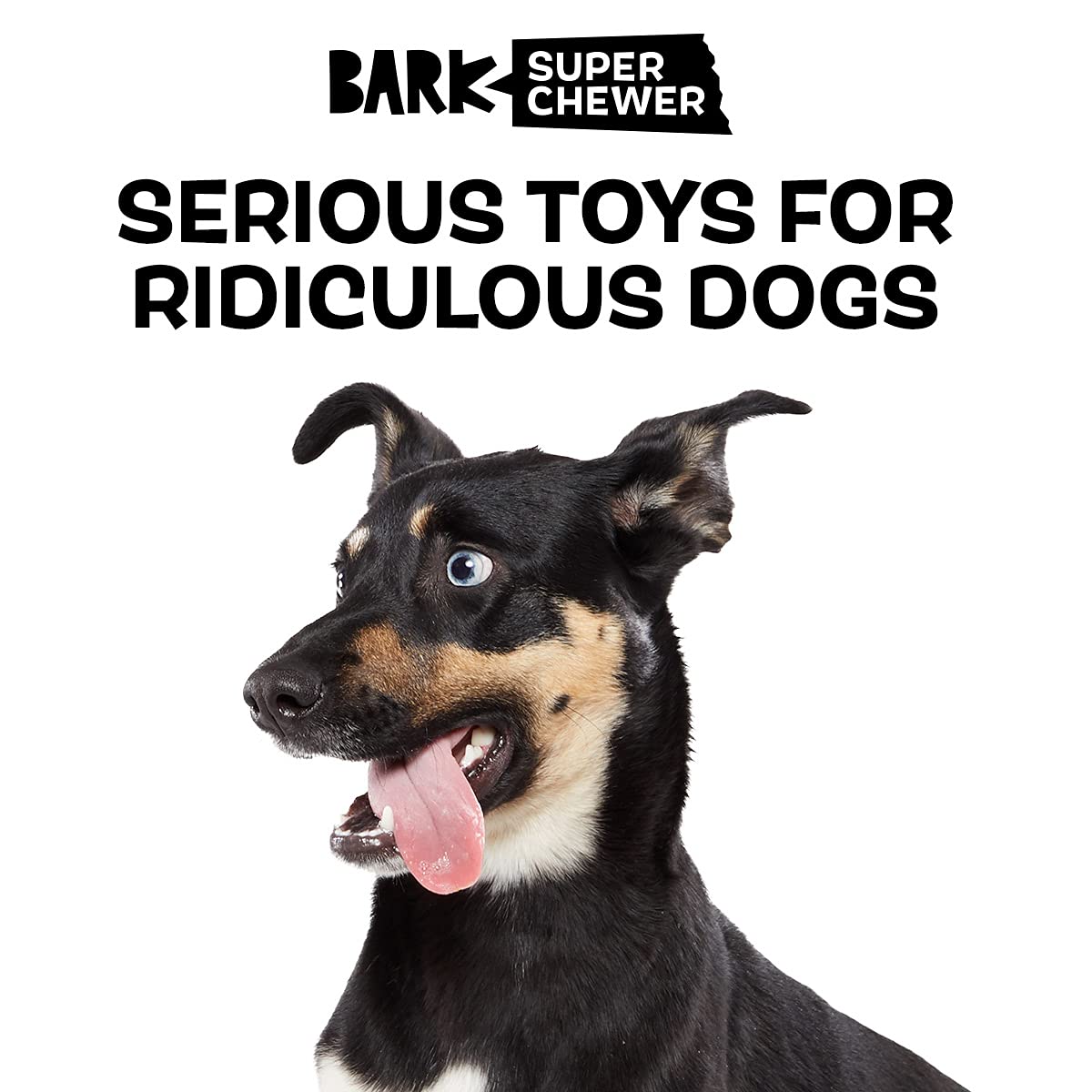 Barkbox Super Chewer Tough Dog Chew Toys For Aggressive Chewers, Plush 2 Toys In 1 (Potato - Large)