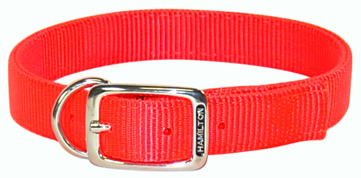 Hamilton 1-Inch Double Bright Orange Dog Collar, 26 Inch