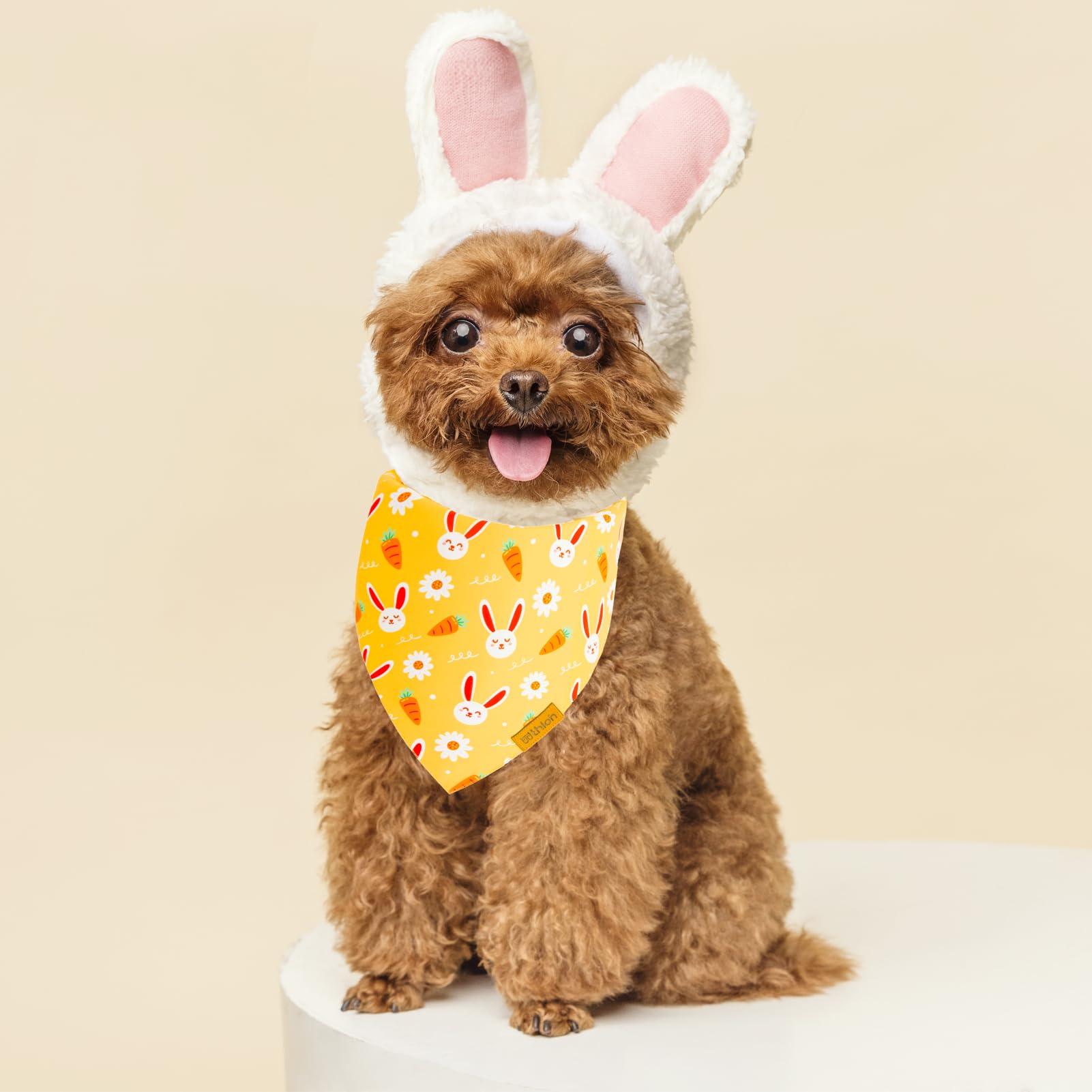 Thloh Easter Dog Bandanas 2 Pack - Pet Scarf For Boy And Girl, Spring Pet Accessory, Reversible Holiday Bandana For Medium And L
