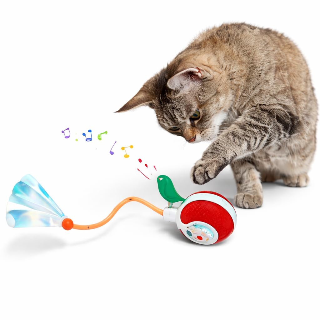Zigzap Interactive Cat Toy  Indoor Cat Play Toy For Kittens, Exercise & Boredom Relief, Exercise & Entertainment, Durable Play 