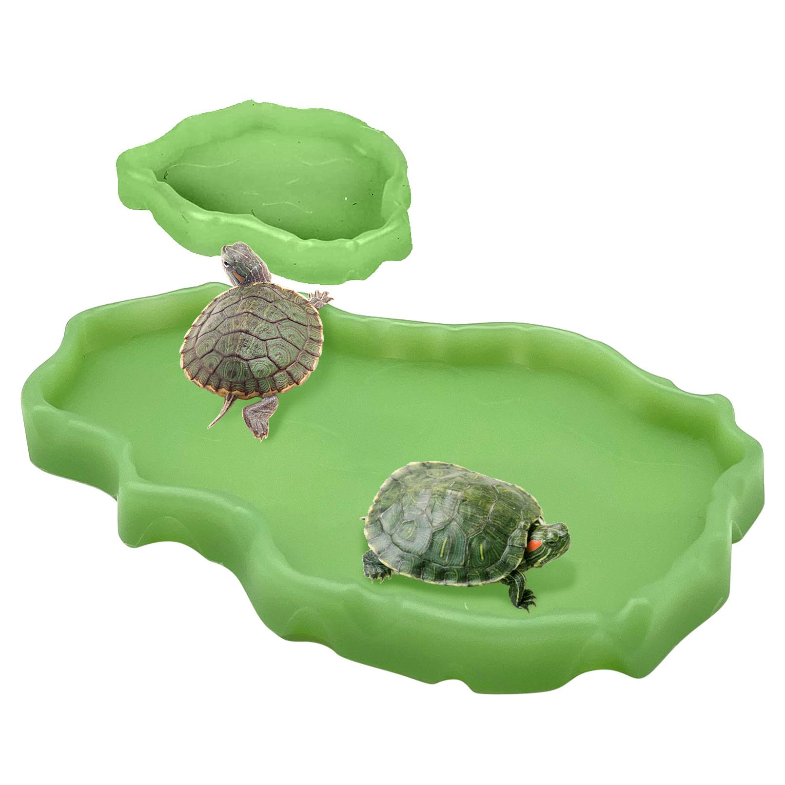 Tfwadmx Reptile Food and Water Bowl Set Luminous Bearded Dragon Dishes Tortoise Feeder Lizard Habitat Large and Small Amphibian 