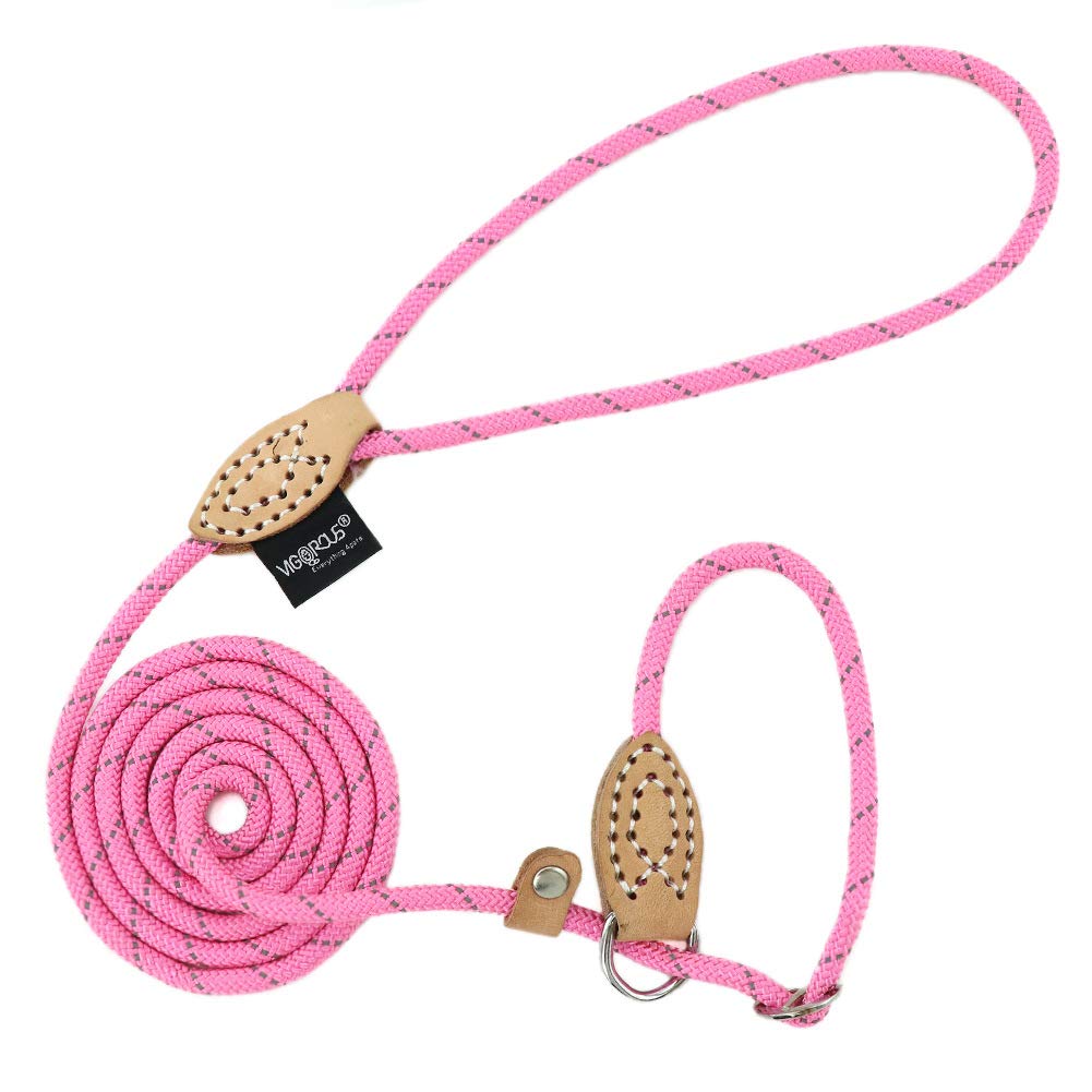 Grand Line Slip Lead Dog Leash, 5Ft Reflective Slip Rope, Puppy Training Walking Controlling Lead, Slip Collar Pet Leash For Small, Medium, Large Dogs (Pink, Small-1/4In X 5Ft)