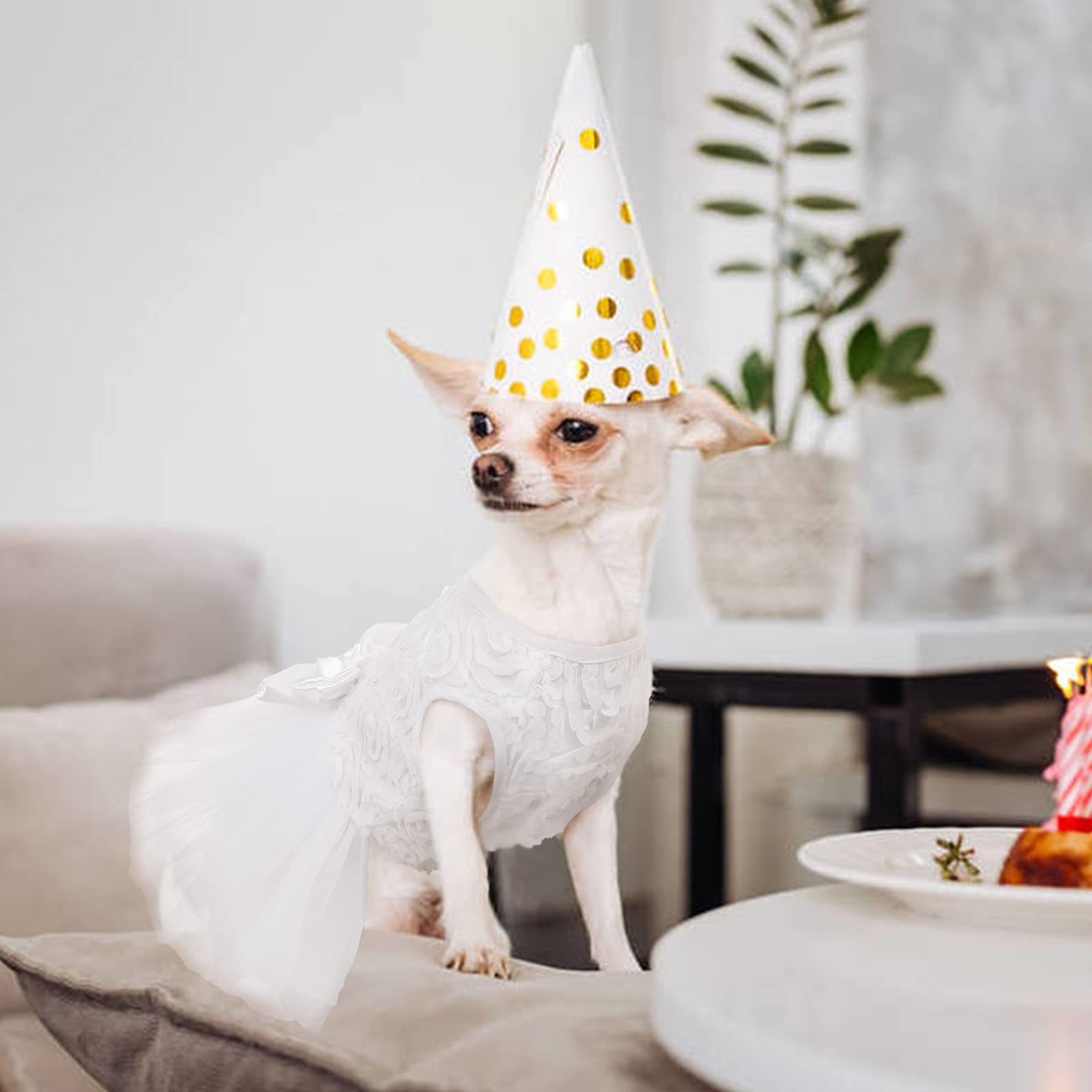 Qbleev Dog Dress, Dog Wedding Dress For Small Dogs Bowknot Dog White Dress Dog Wedding Attire Pet Dog Bride Costume Lace Tutu Skirt Halloween Dog Princess Dress Party Puppy Apparel Dog Formal Dress Xs