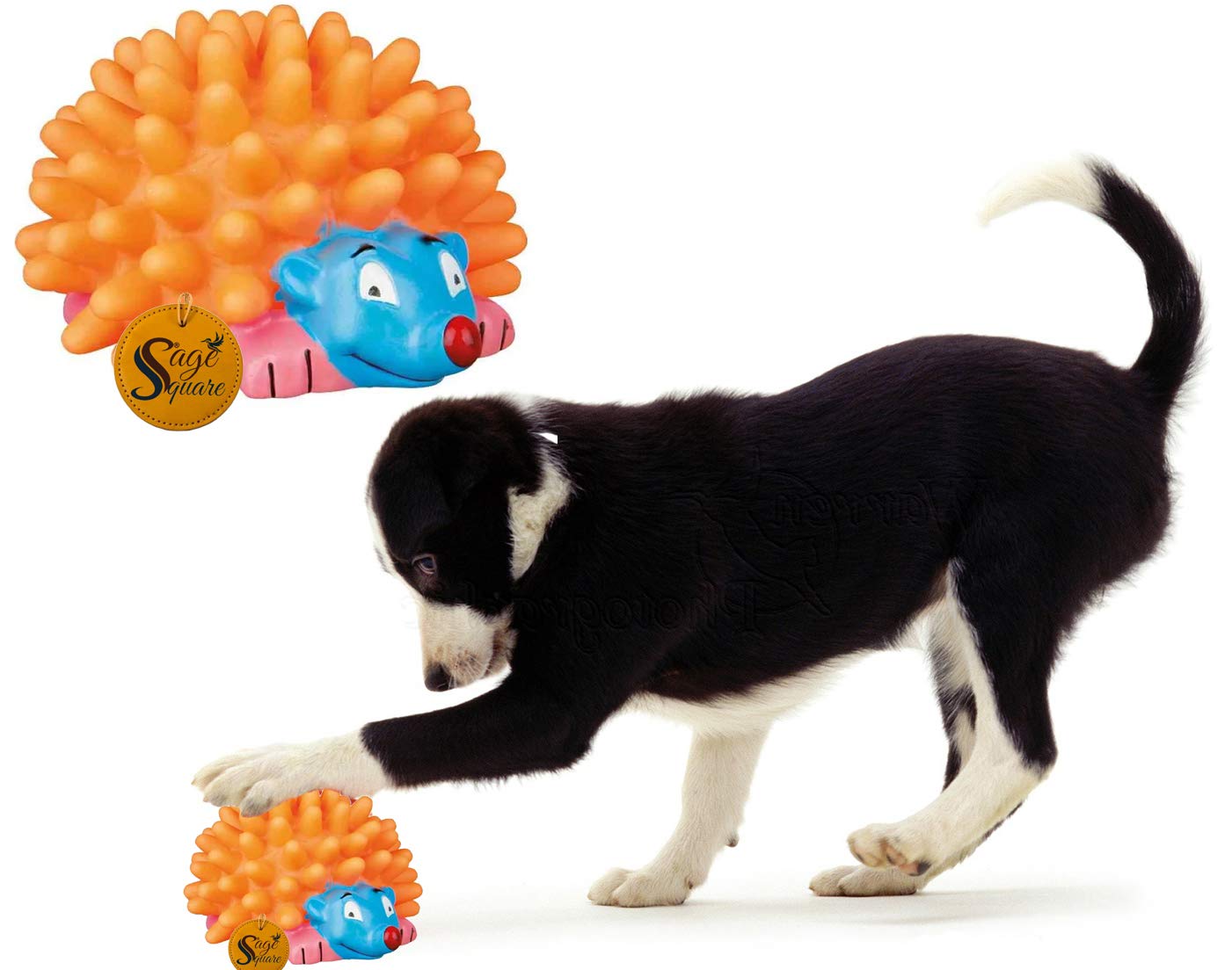 Sage Square Playful Procupine Squeaky Toy For Playtime Of Cute Friend Of Natural Rubber For Dog, Puppy, Kitten, Cat (Orange)