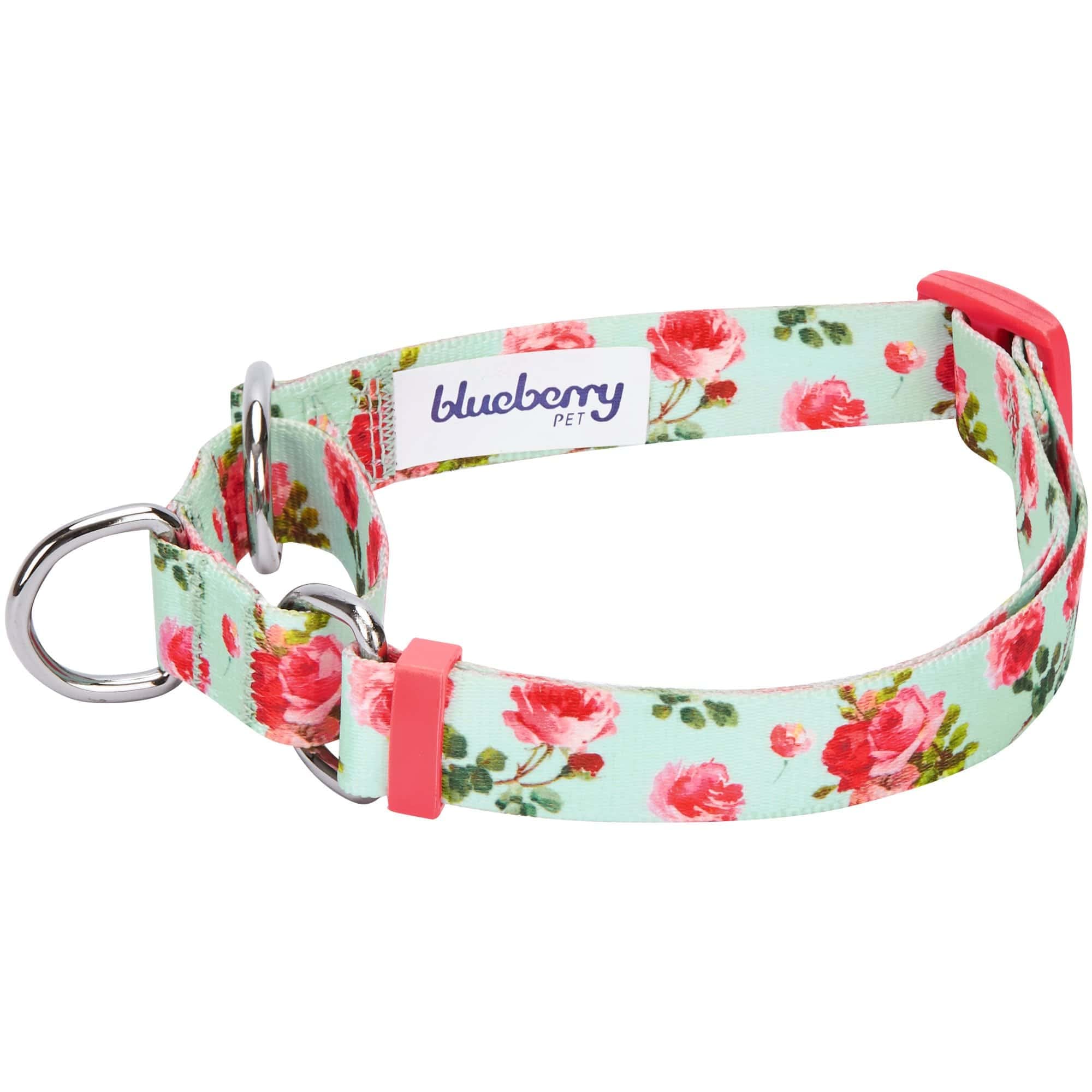 Blueberry Pet Spring Scent Inspired Rose Print Martingale Safety Training Dog Collar, Turquoise, Small, Heavy Duty Adjustable Co