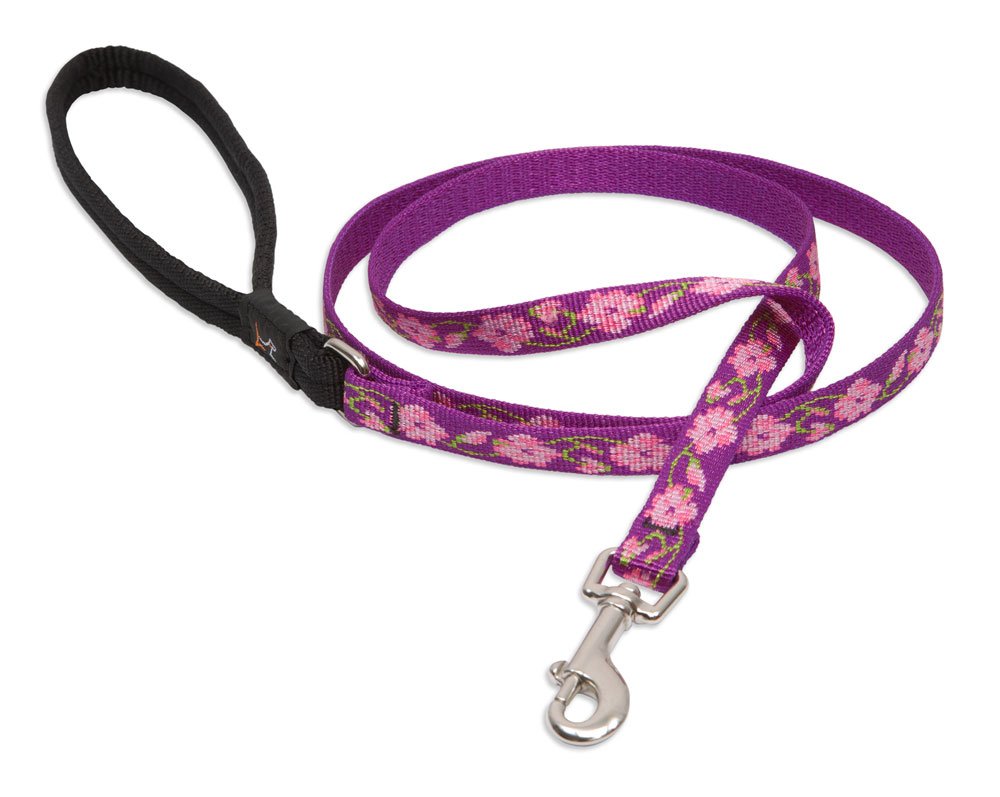 LupinePet Originals 1/2 Rose Garden 6-Foot Padded Handle Leash for Small Pets