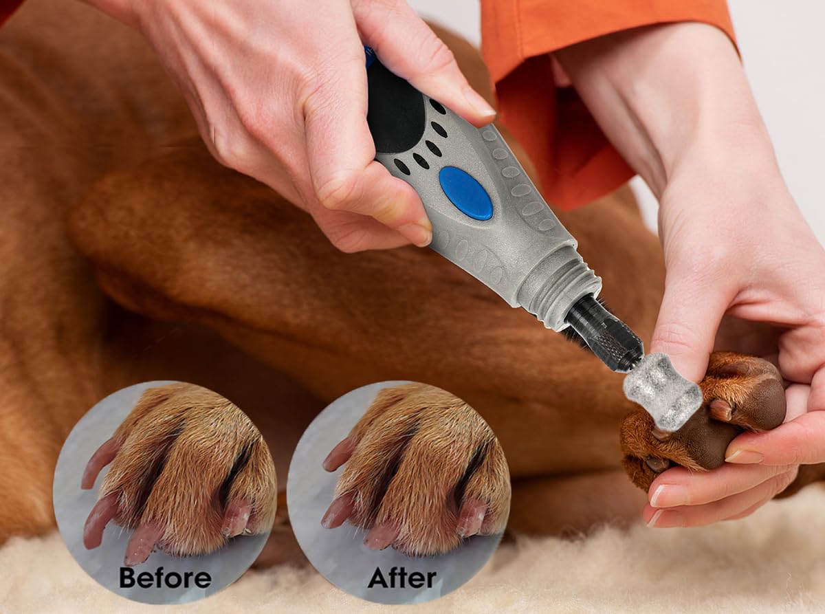 Asozeer For Dremel Dog Nail Grinder - 1/8'' Diamond Pet Nail Grinder Attachment - Safe And Painless Nail Grinder Bits Won'T Pull