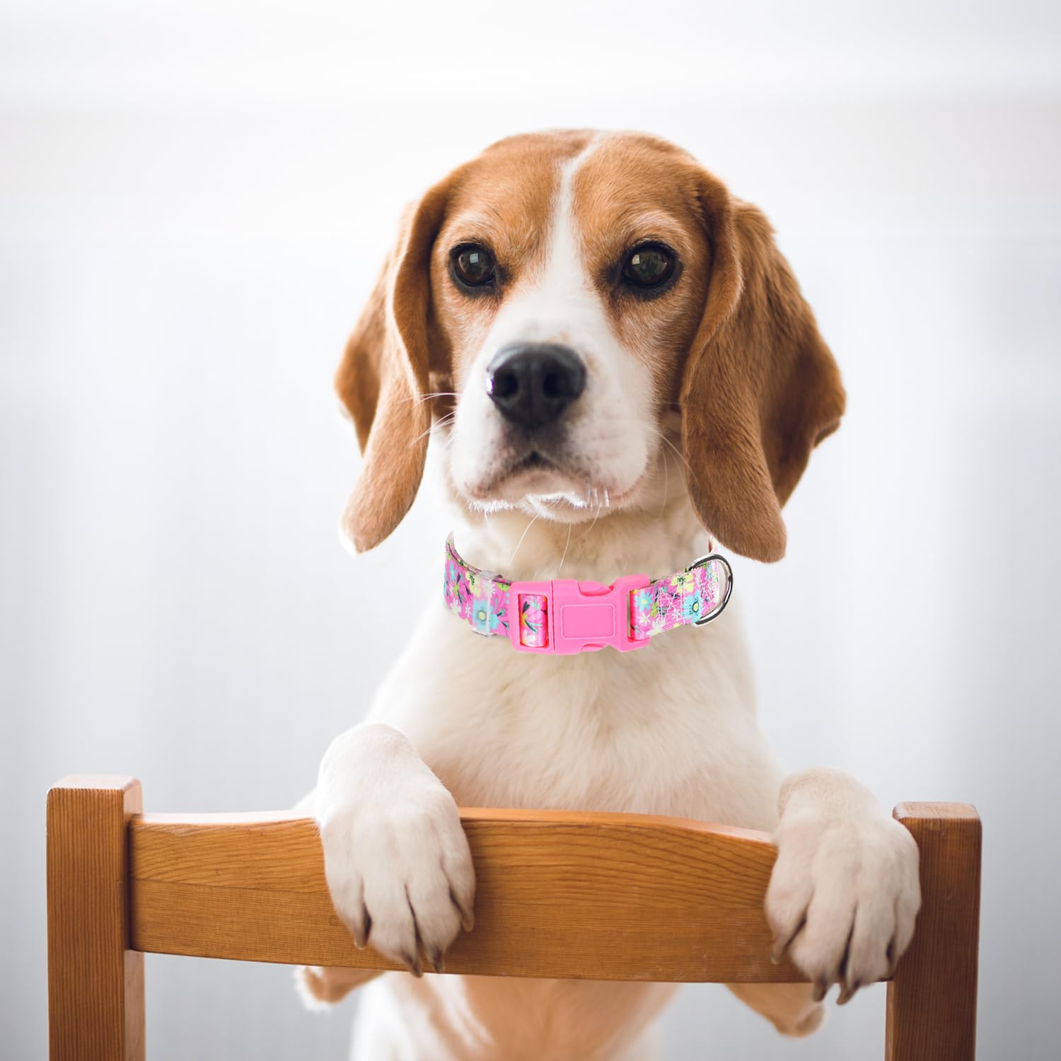 Girl Dog Collars For Large Dogs, Cute Girl Pink Dog Collar With Boho Flowers Patterns, Adjustable Comfy Soft Durable Pet Collar