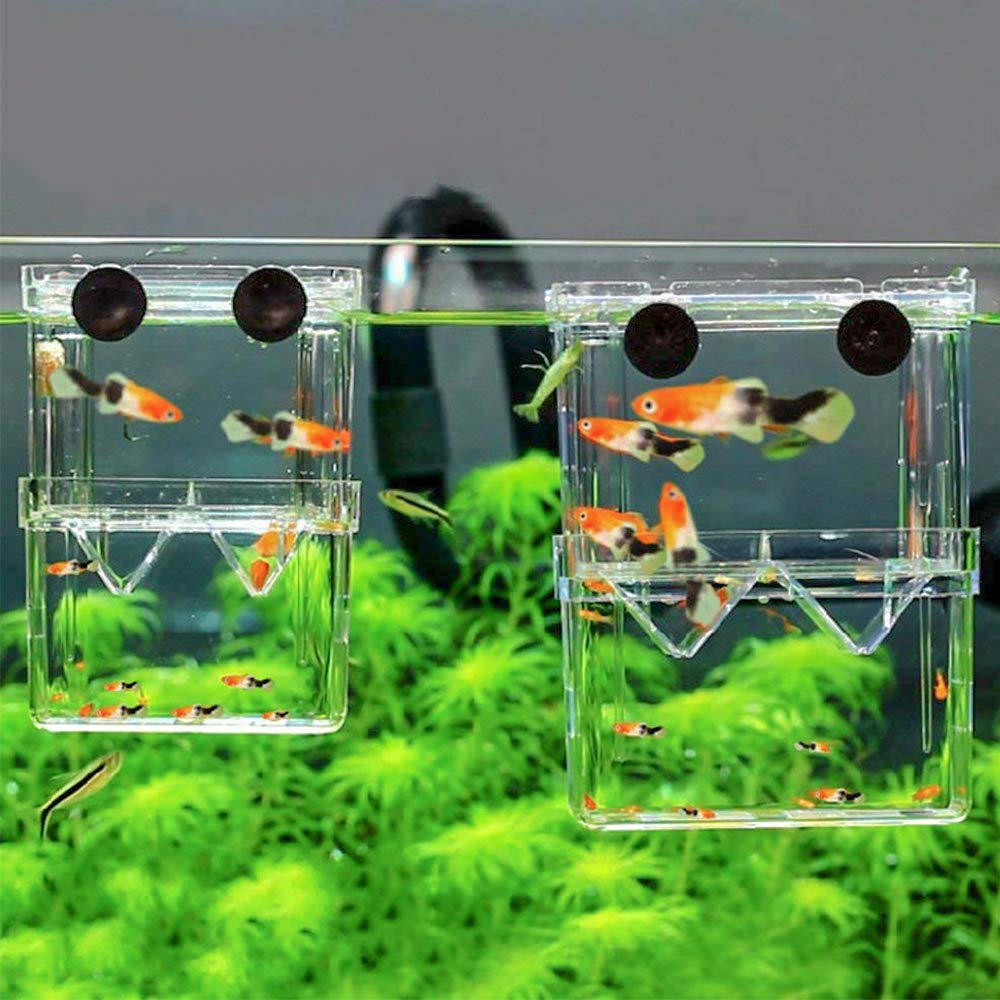 Senzeal Aquarium Fish Breeder Box Plastic Fish Isolation Breeding Box Hatching Incubator Box For Baby Fish Shrimp Clownfish Guppy