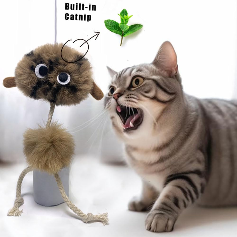 URMYONLY Cat Toys for Indoor Cats,Interactive Door Hanging Cat Toys Attached with Catnip/Feathers/Birds/Mouse Toys for Cats/Kitt