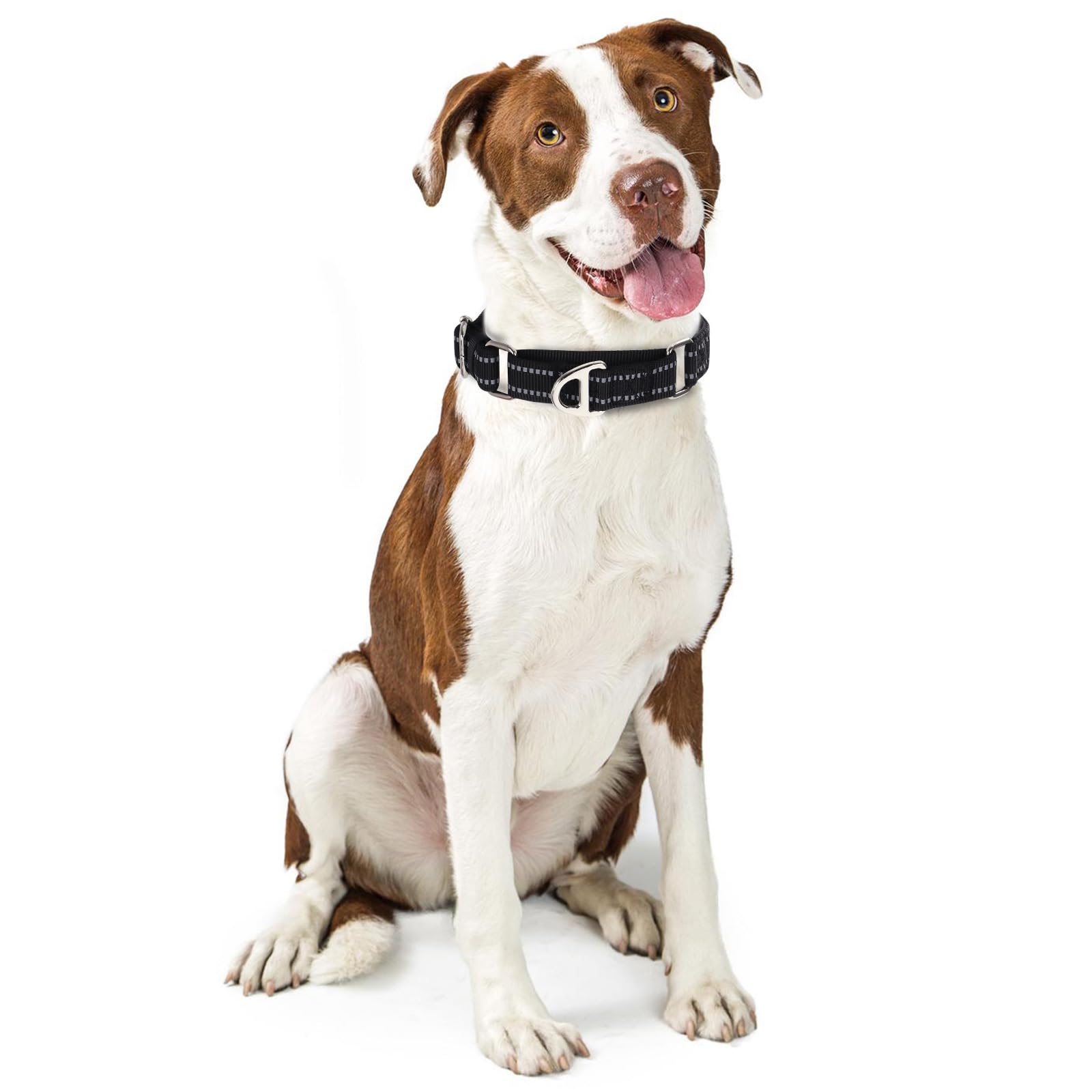 Onefojojo Martingale Collar For Small Dogs Reflective Nylon Dog Collar With No Buckle Adjustable Training No Slip Dog Collar (S,