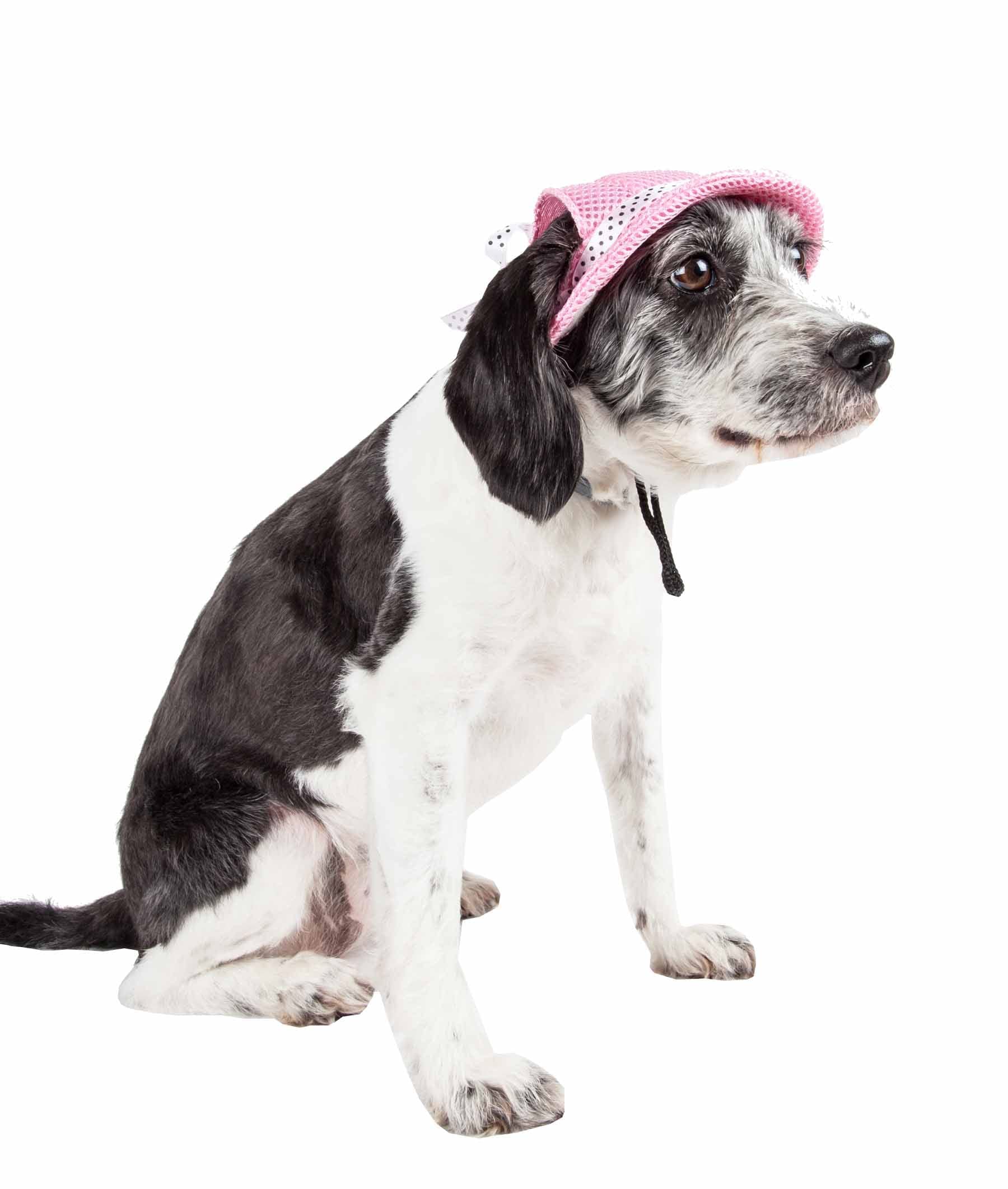 Pet Life        'Sea Spot Sun' Mesh Dog Hat With Uv Coverage Protection - Brimmed Pet Hats For Dogs Provides More Shade Than A D