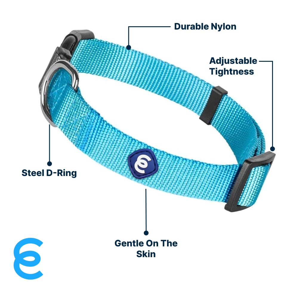 Blueberry Pet Essentials Matching Medium Dog Collar | Adjustable Classic Solid Color Nylon Dog Collars For Medium Dogs | Turquoi