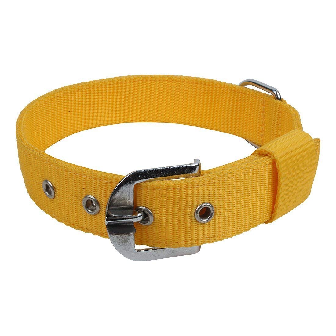 Japin Polyester Double Strip Dog Collar For Large Dogs (Size:1.25) Inch(Colour May Vary)