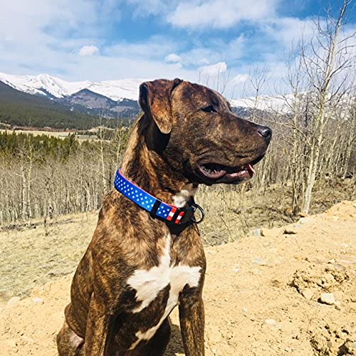 Native Pup American Flag Dog Collar- Red White And Blue- Patriotic Collars For 4Th Of July, Usa- Adjustable Small, Medium, Large Breed Dogs (Large, Flag I)
