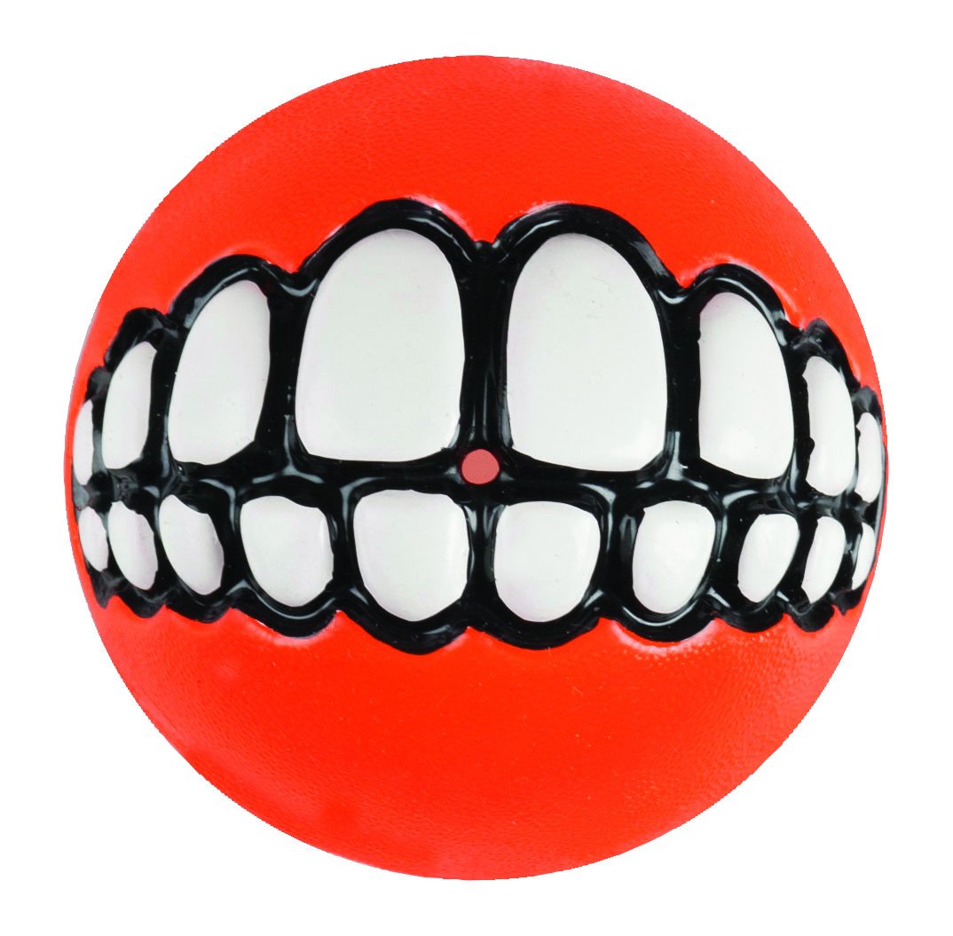 Rogz Dog Chew and Fetch Ball, Large