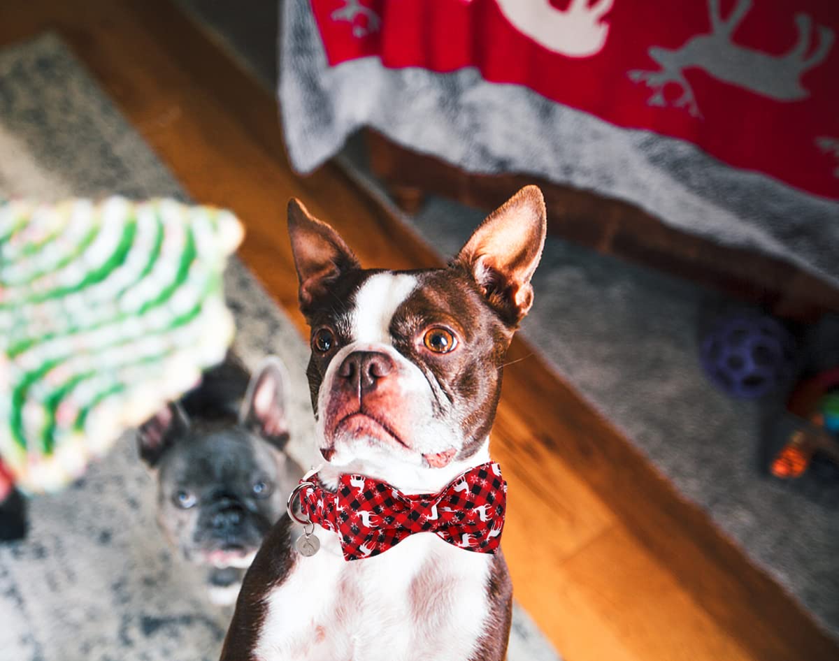 Dogwong Christmas Dog Collar With Bow Tie, Red Plaid Deer Dog Collar Soft Durable Adjustable Cotton Puppy Collar For Small Mediu