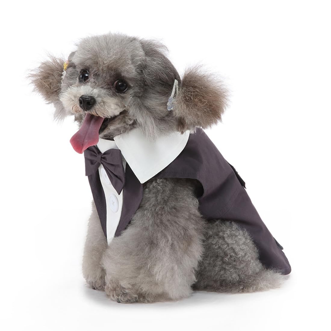 Doteyayp Puppy Tuxedo With Detachable Bowtie Prom Wedding Formal Wear Prince Costume For Small Dog (Small, Grey)