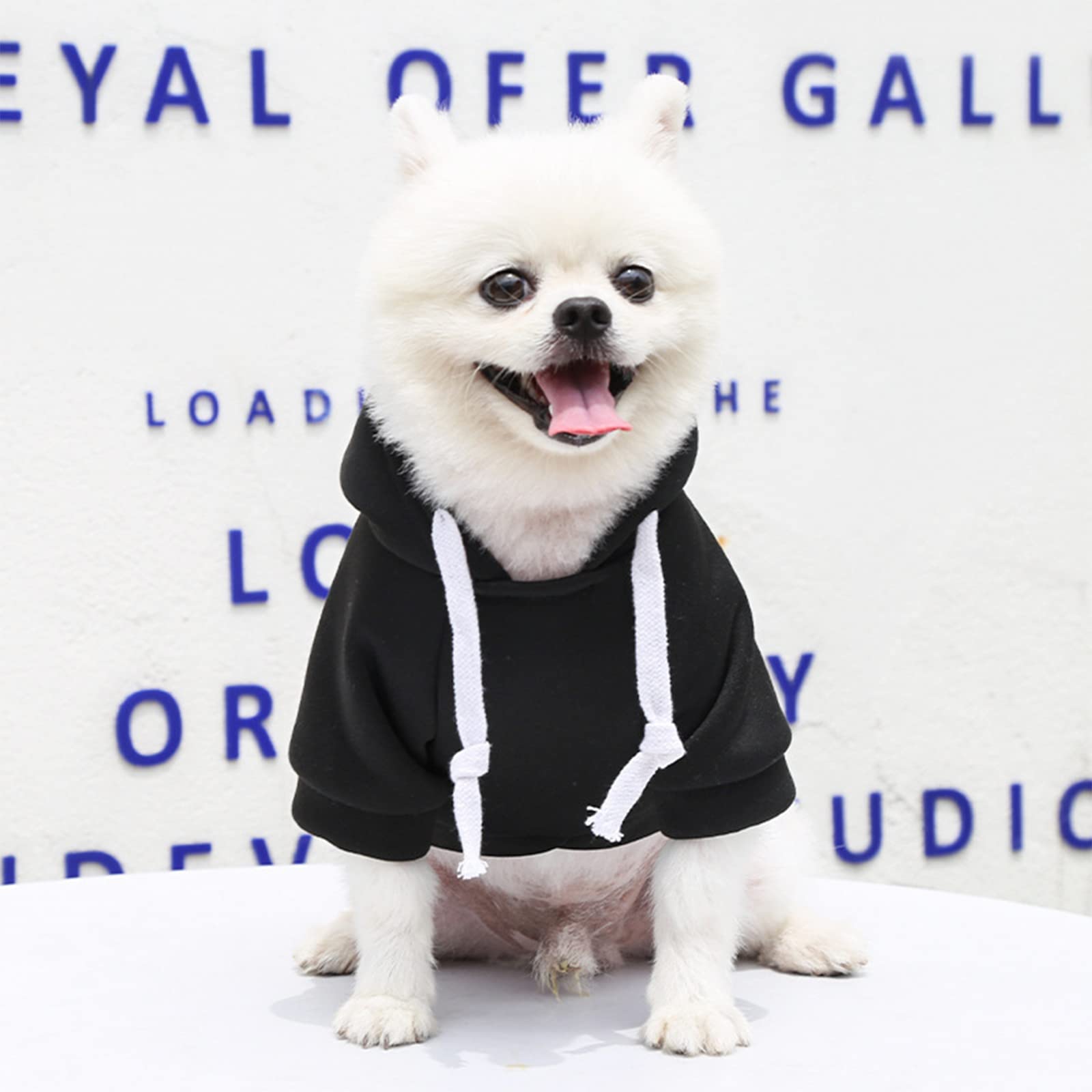 Petcare Pet Dog Hoodie Sweater Black Warm Soft Fleece Sweatshirts With Pocket Fall Winter Puppy Cat Sweaters Clothes For Small D