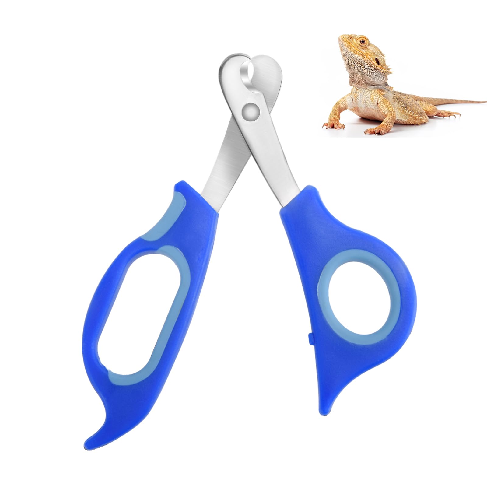 Keuye Bearded Dragon Nail Clippers,Stainless Steel Bearded Dragon Toe Nail Clippers With Precise Angled Edges,Professional Groom