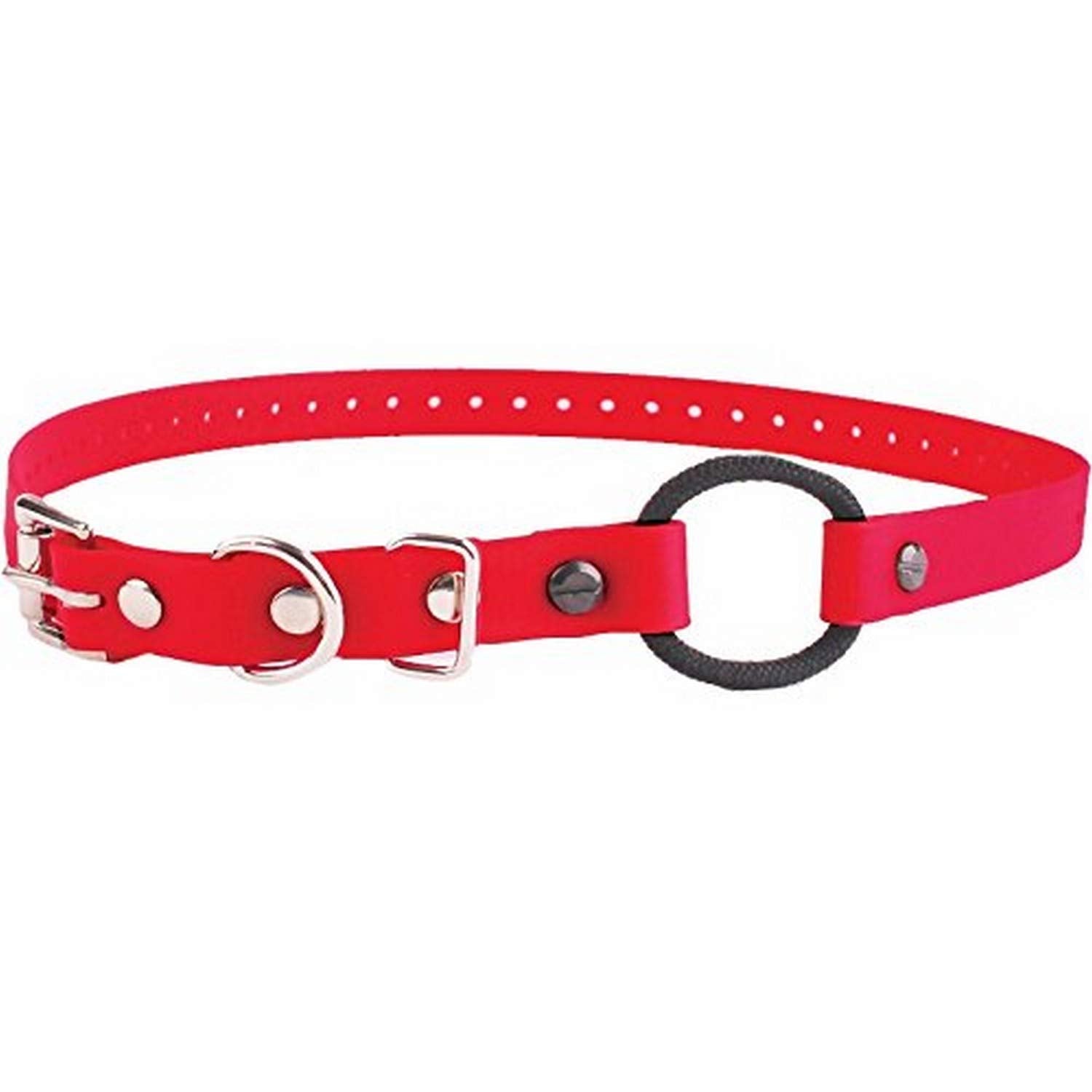 Educator Bungee Dog Collar, Biothane, Waterproof, Odorproof, Metal Buckle And D Ring With Comfort Bungee Loop Adjustable For Custom Fit, 3/4-Inch, Red