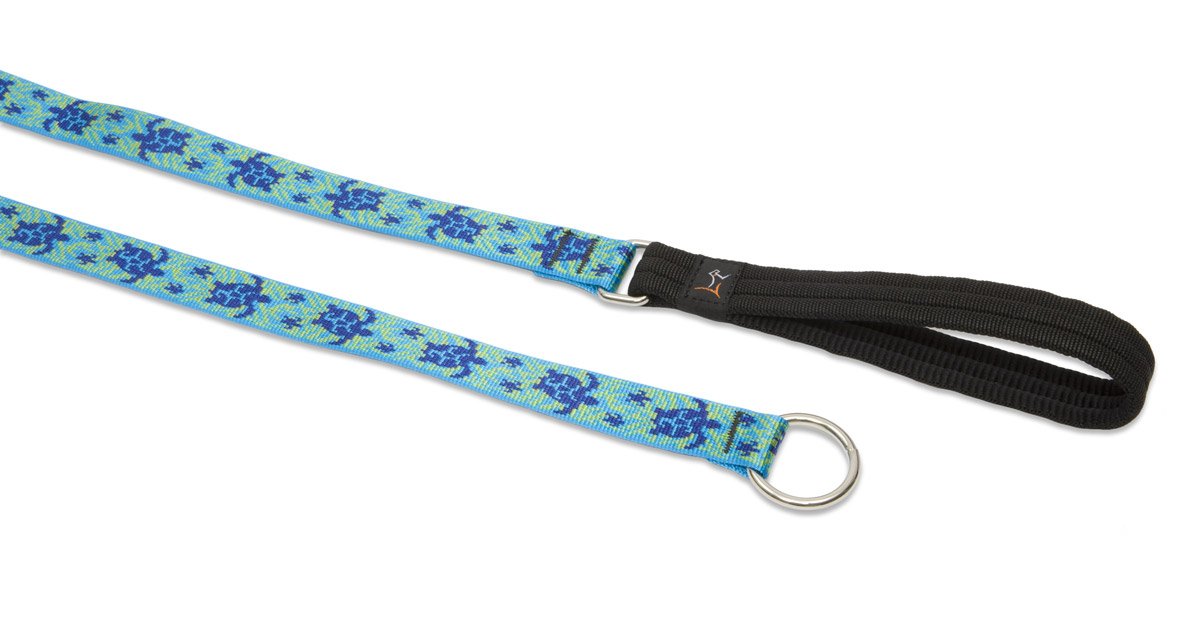 LupinePet Originals 1'' Turtle Reef 6-Foot Slip Lead/Leash for Medium and Larger Dogs