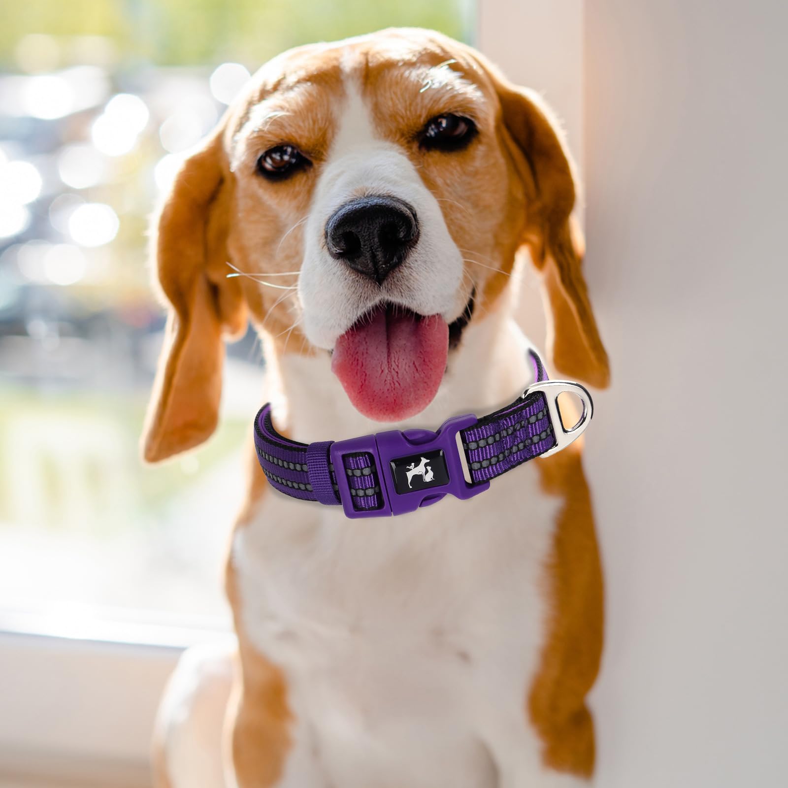 Reflective Dog Collar- Soft Neoprene Padded, Breathable Nylon, Durable & Adjustable - Stylish & Safe For Medium, Large & Extra L