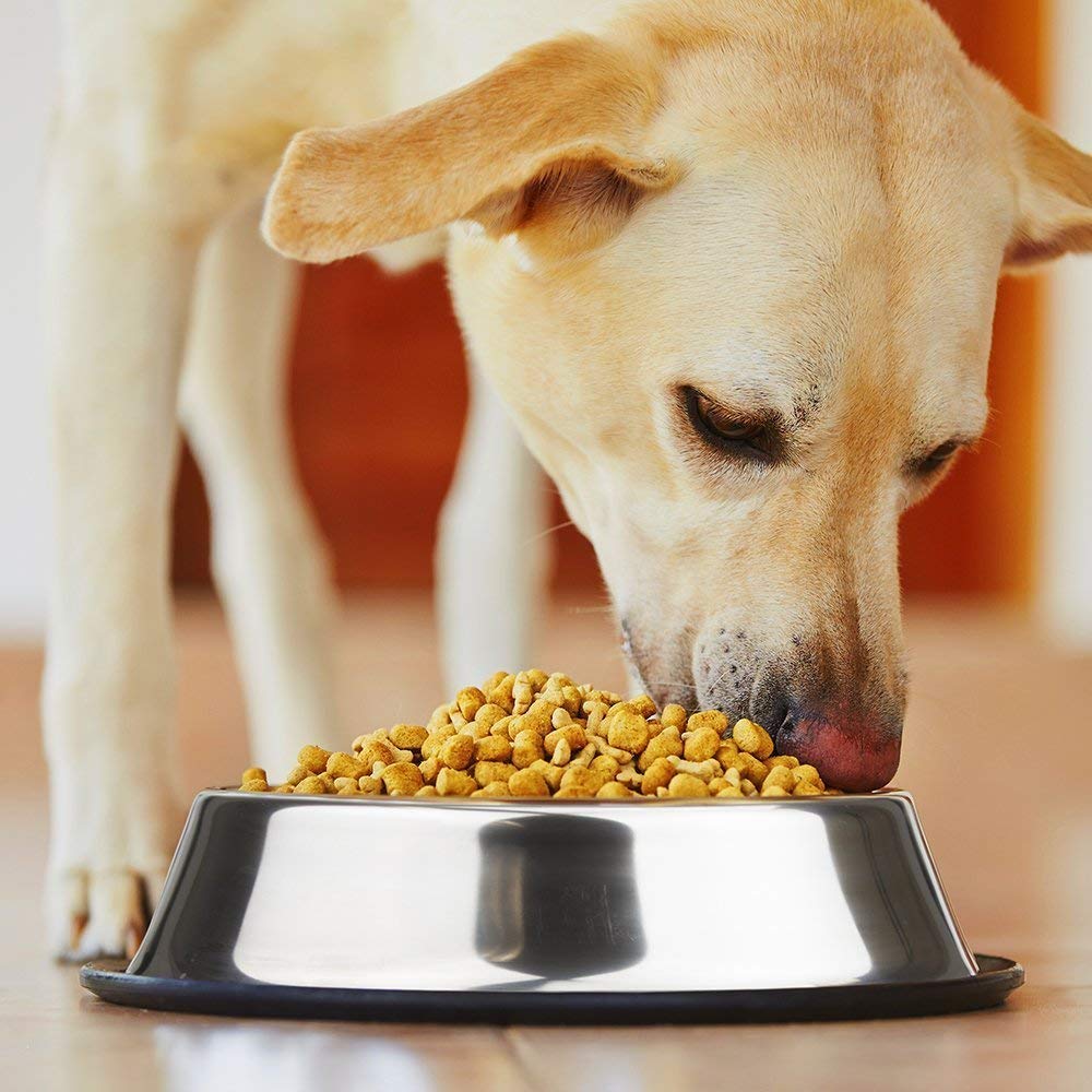 Mlife Stainless Steel Dog Bowl with Rubber Base for Small/Medium/Large Dogs, Pets Feeder Bowl and Water Bowl Perfect Choice (Set