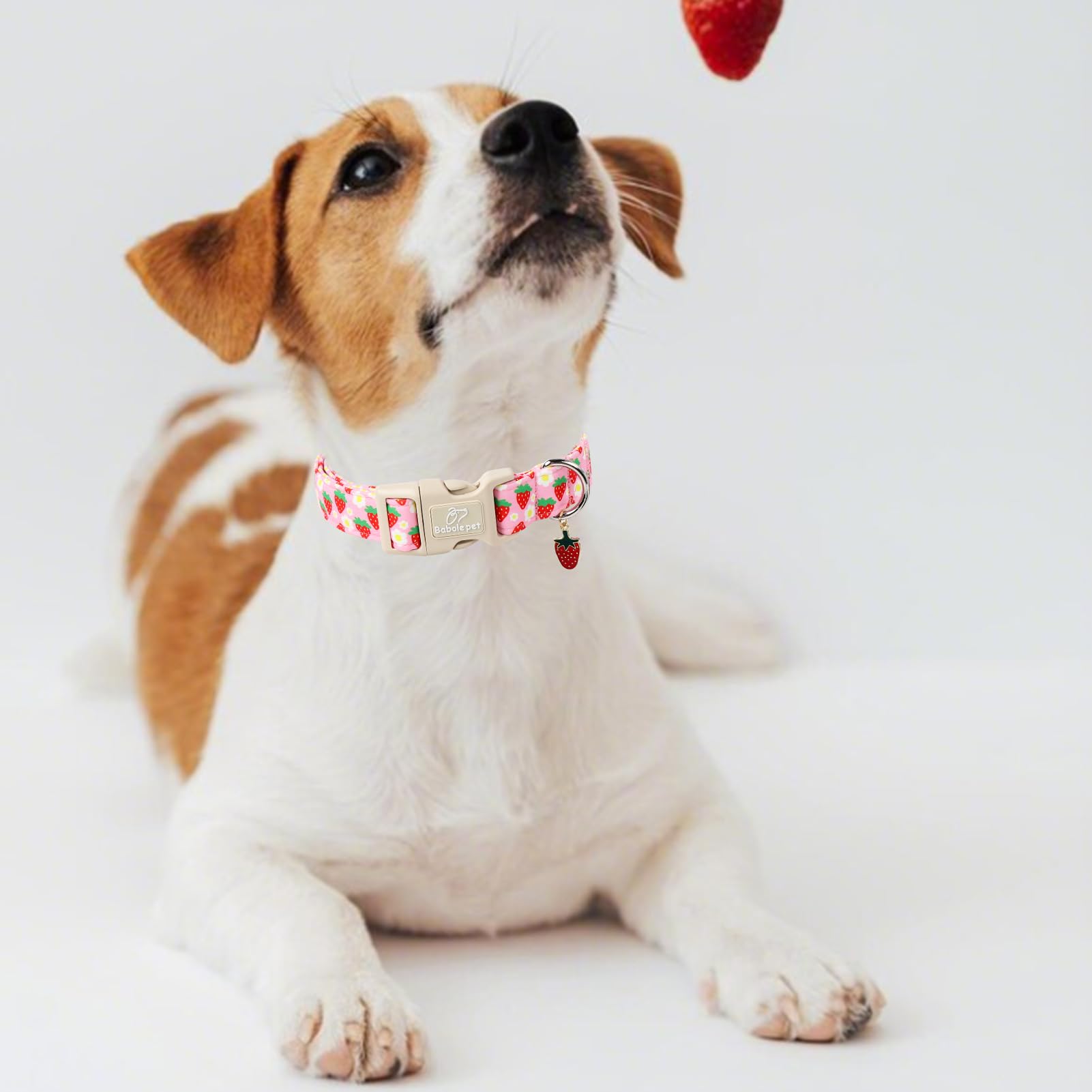 Babole Pet Cute Spring/Summer Dog Collar, Adjustable Pink Strawberry Dog Collars For Puppy & Tiny Dogs, Lightweight Quick-Releas