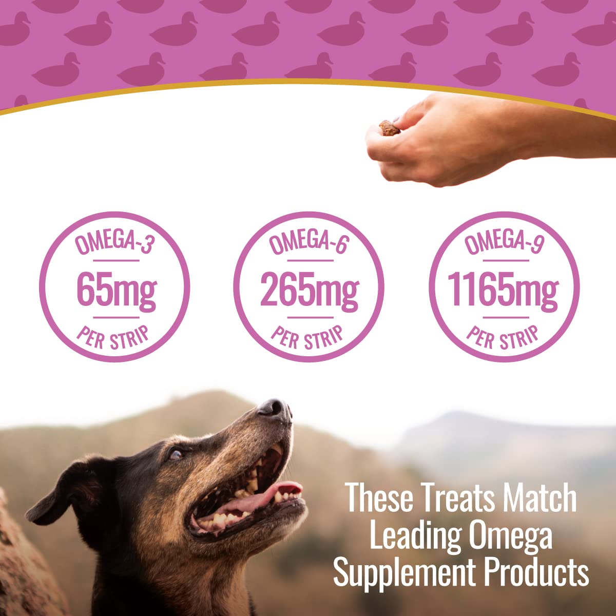 Smart Cookie Duck Jerky Dog Treats with Flax Seed, Omega Oils- Hypoallergenic Strips for Dogs and Puppies with Allergies, Sensit