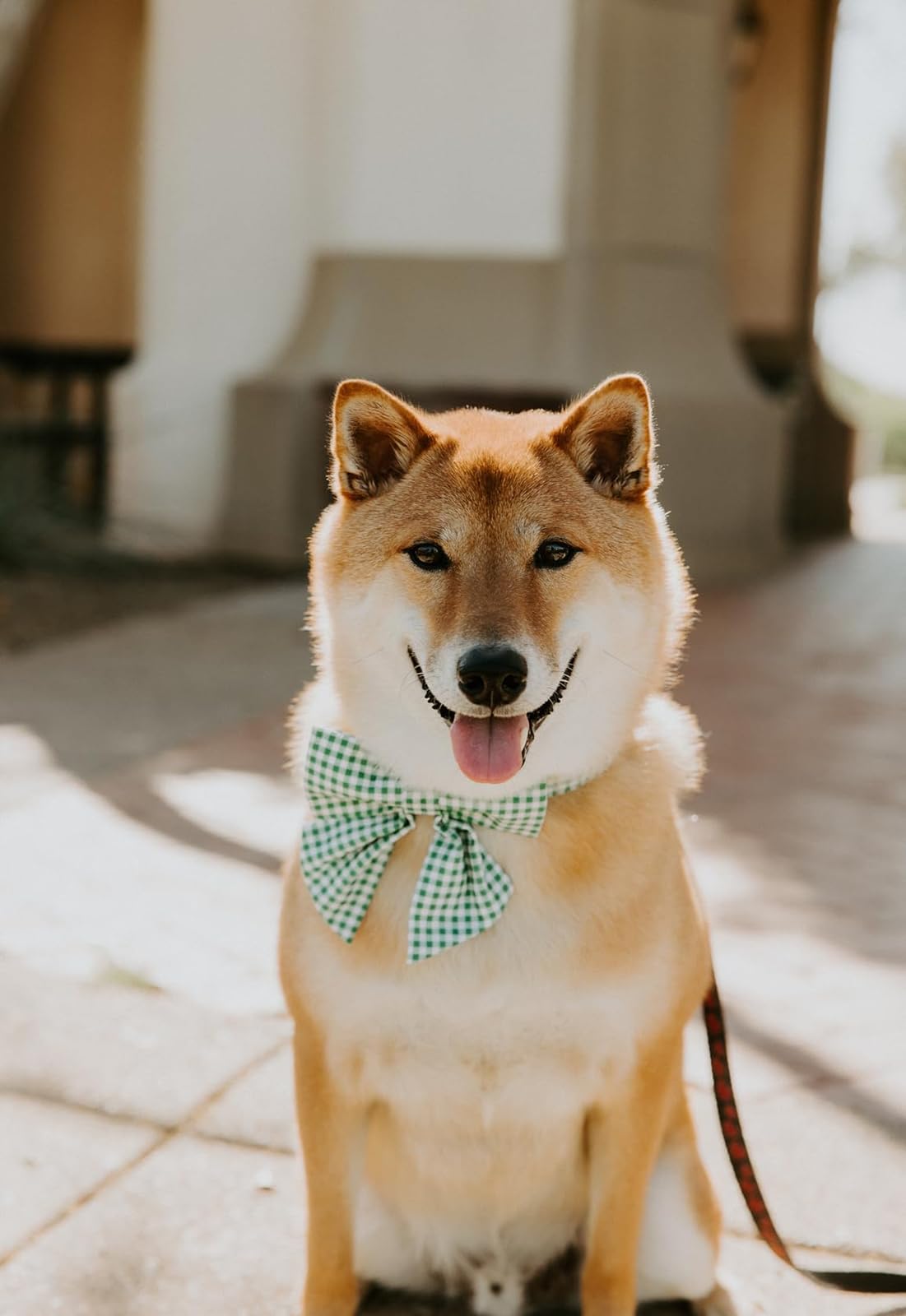 Lionet Paws Dog Collar With Sailor Bow, Durable Adjustable And Comfortable Green Bowtie Collar For Dogs And Cats, Xx-Small, Neck