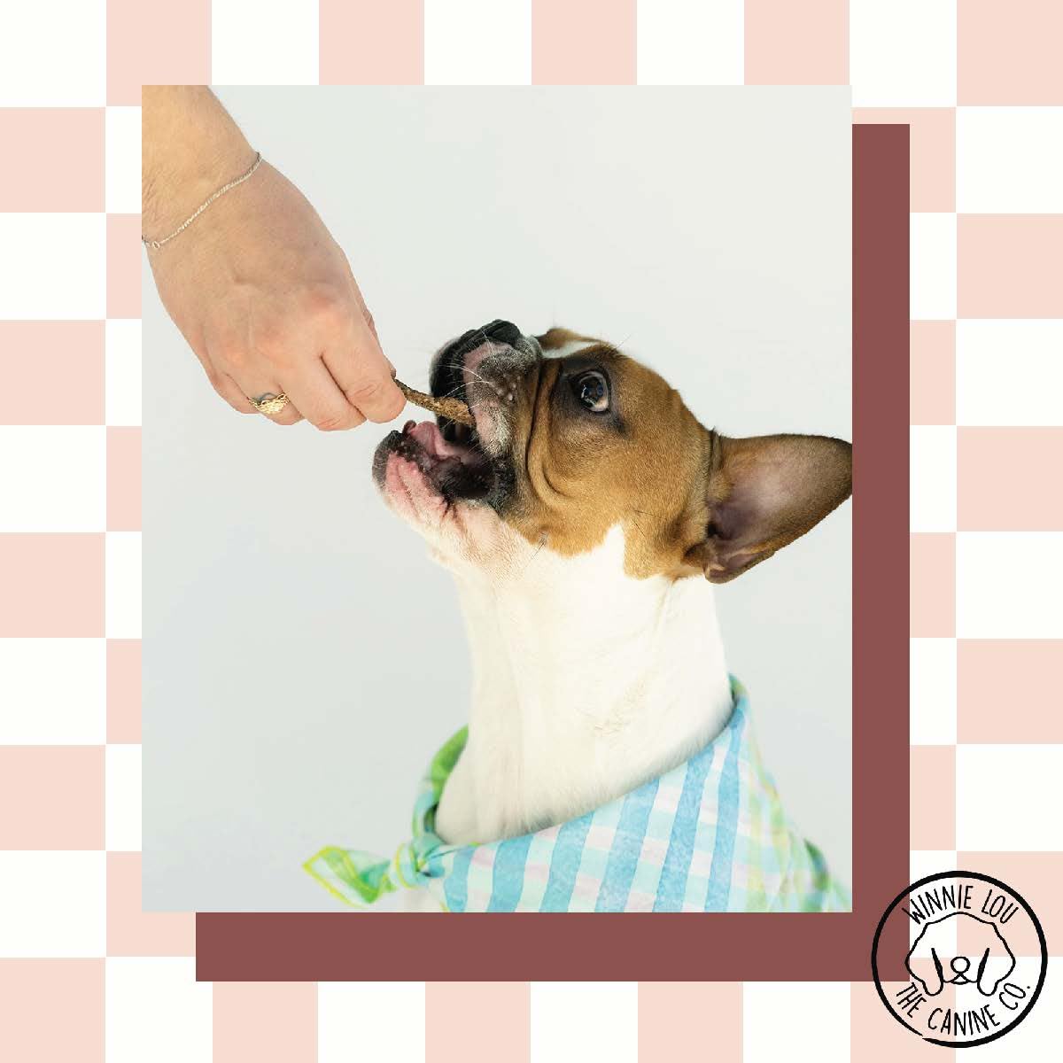 Winnie Lou Wild Boar Jerky Dog Treats - Limited Ingredient, Human Grade, Training Treats for Small, Medium & Large Dogs, Made in