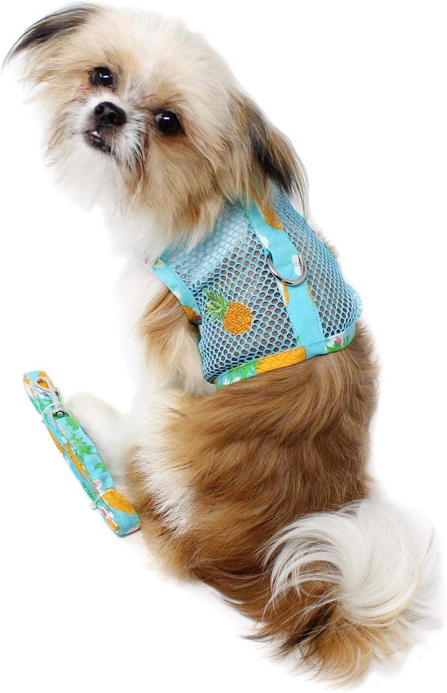 Cool Mesh Dog Harness - Dog Vest For Pets, Simple Step In And Go Design, Harness For Dogs With Leash, Pineapple Luau, Small By D