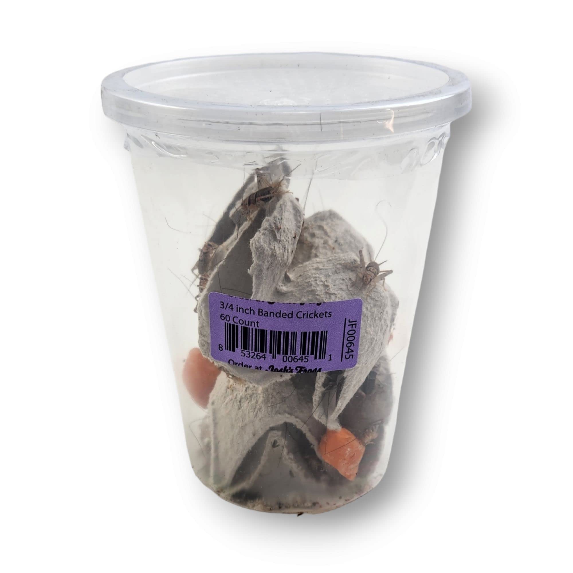 Josh's Frogs 3/4 Banded Crickets (60 Count)
