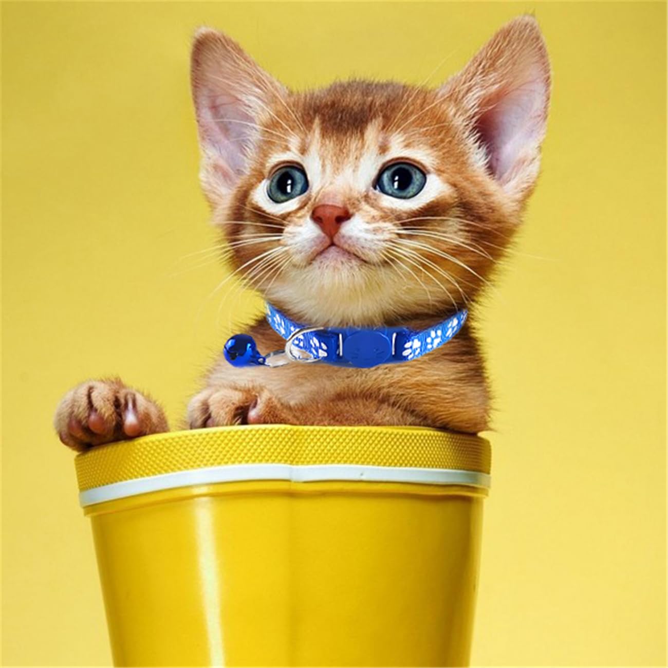 Breakaway Kitten Collar With Bells, 2 Pack Light Blue Break Away Cat Collar With Bells, Cat Collar For Boy Cats Kitty