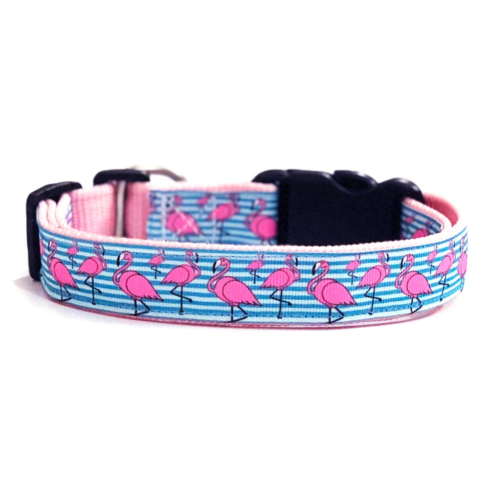 That Dog In Tuxedo The Flamingo Dog Collar  ML