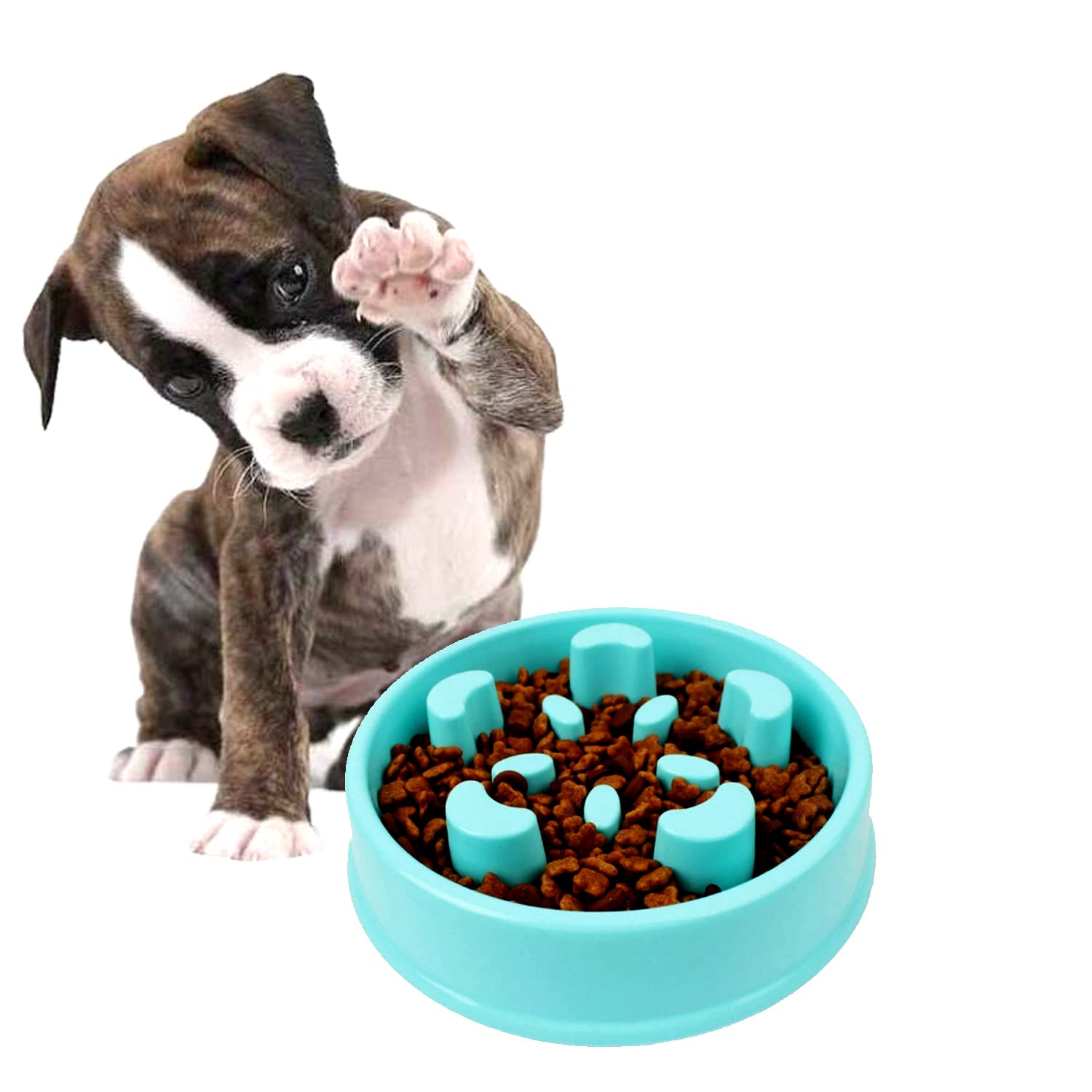 Jainsons Pet Products Dog Slow Feeder Bowl 6.5 Inch  NonSlip Puzzle Design, Interactive Bloat Stop, Durable Choking Prevention