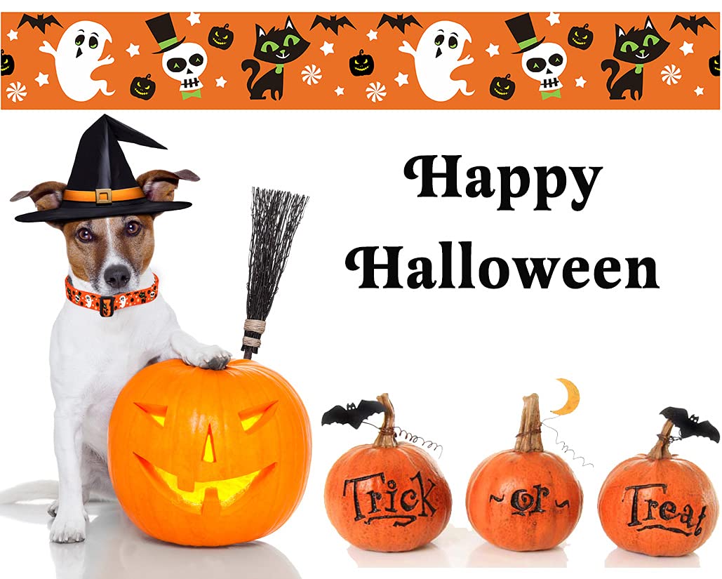 Mihqy Halloween Dog Collar - Pumpkin Bat Ghost Pattern - Adjustable For Small Medium Large Dogs(Halloween,M)