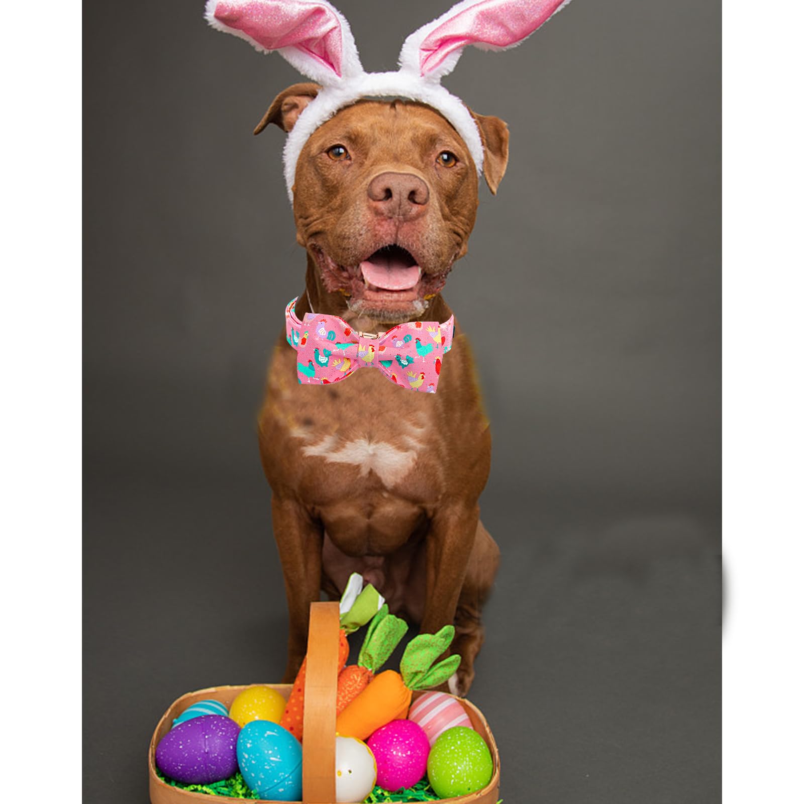Lionheart Glory Dog Bow Collar Easter Day Dog Collar For Small Dogs,Easter Chickens Colorful Dog Collars With Bowtie Spring Pink