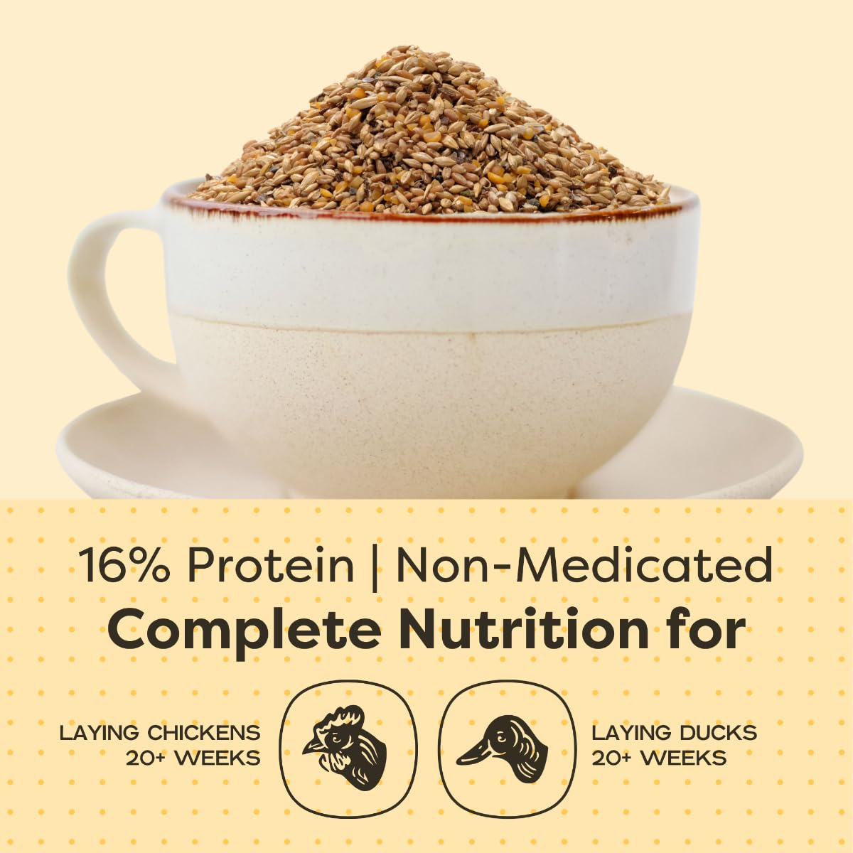 Scratch and Peck Feeds Whole Grain Layer Mash Chicken and Duck Feed - 25 lbs Bag - Corn-Free and Soy-Free - 16% Protein, Certifi