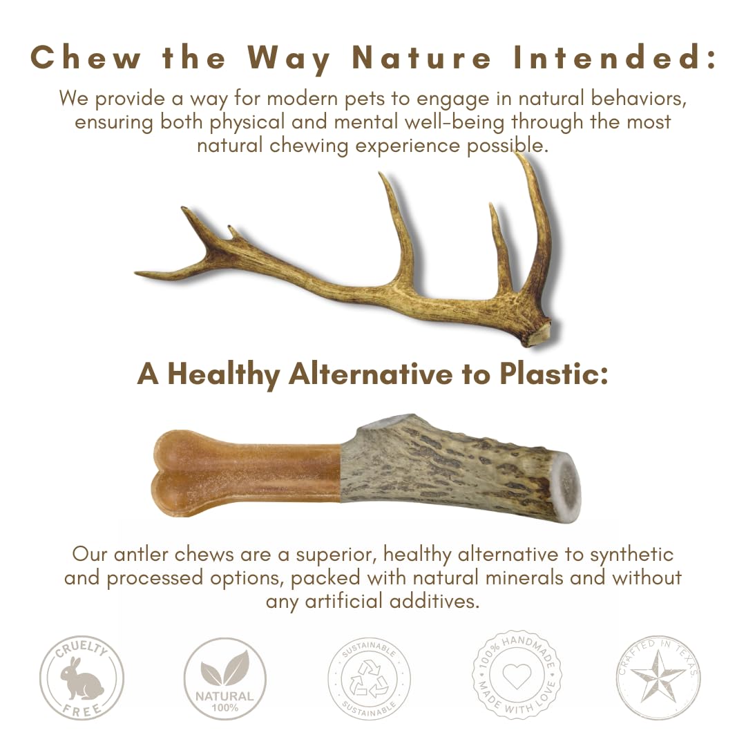 WhiteTail Naturals - Deer Antlers for Large Dogs - (1 Pack - Extra Large) - All Natural Dog Antler- Naturally Shed, Long Lasting