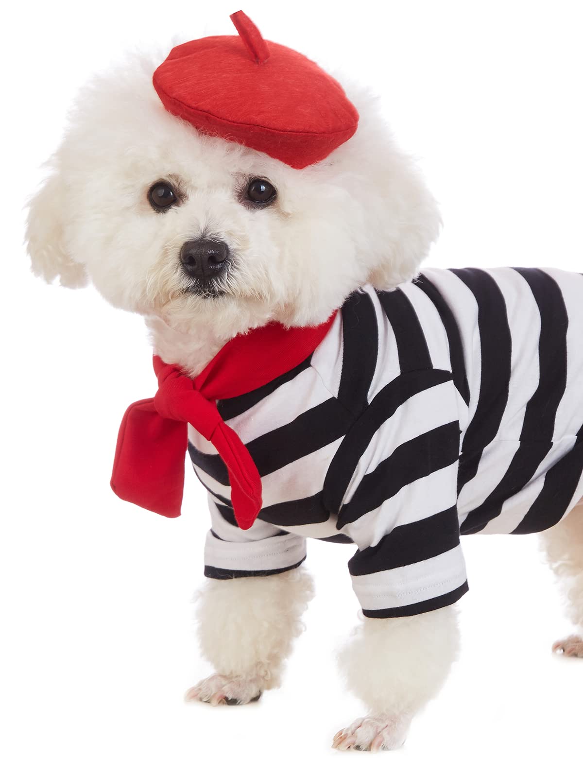 Coomour Artist Dog Costume With Funny Hat Painter Pet Clothes For Small Dog Shirts Puppy Summer T-Shirt (2Xl) Black