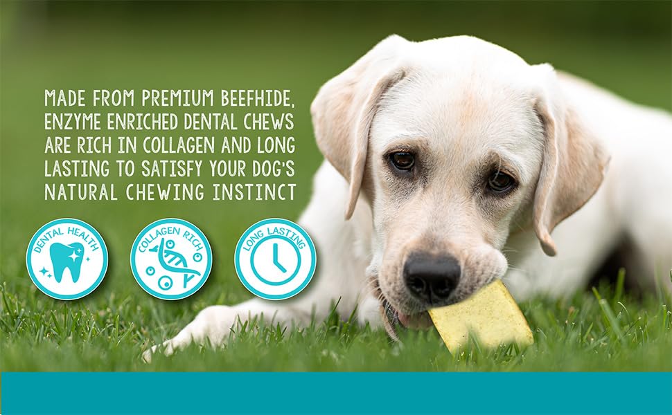 Real Hide Dental Chews for Dogs | Enzyme Enriched | Small | 8.5 oz