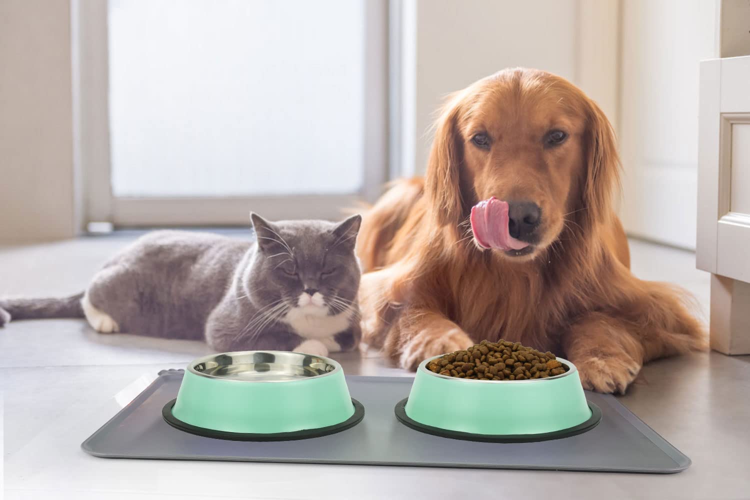 Podinor Stainless Steel Dog Bowls, Food and Water Non Slip Anti Skid Stackable Pet Puppy Dishes for Small, Medium and Large Dogs