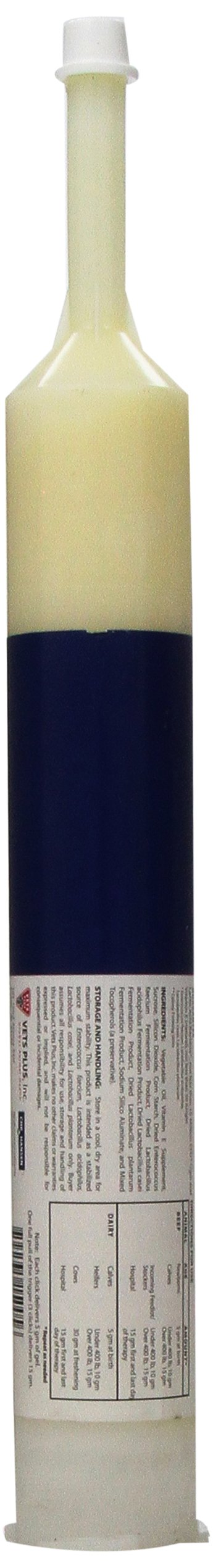 Probios Bovine One Oral Gel for Ruminants Plus Natural-E Tube, 300cc