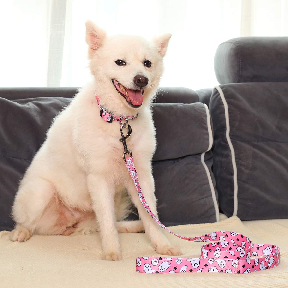 Impoosy2Pcs Dog Halloween Collar With Pet Ghost Leash Set Cat Gift Adjustable Dog Cute Collars For Small Medium Large Pets Dogs Cats (Large, Pink)