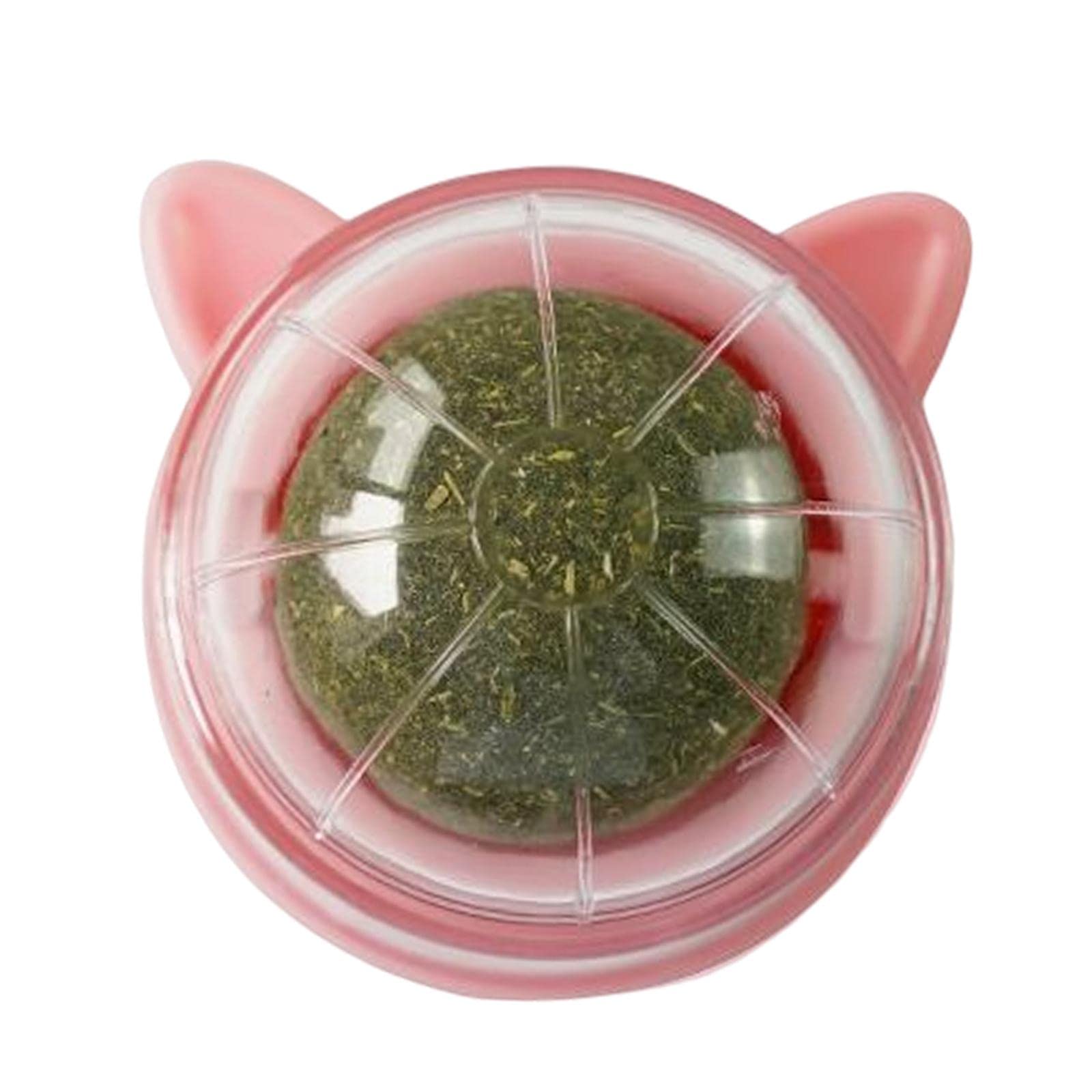 Enakshi Catnip Ball Toys Teething Toy Snack Pet French Windows With Lid Chew Cat Toy Style B |Pet Supplies | Cat Supplies | Toys